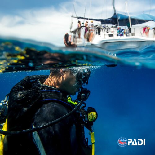 Discover Scuba Diver