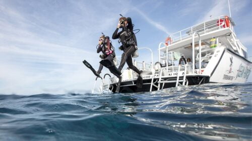 plongeur sautant dans l'eau