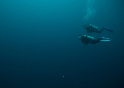 plongeur en plein eau