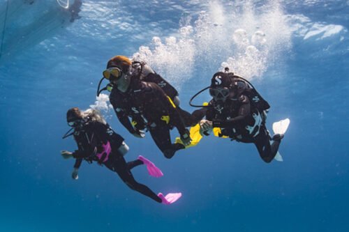 Formation niveau 1 de plongée